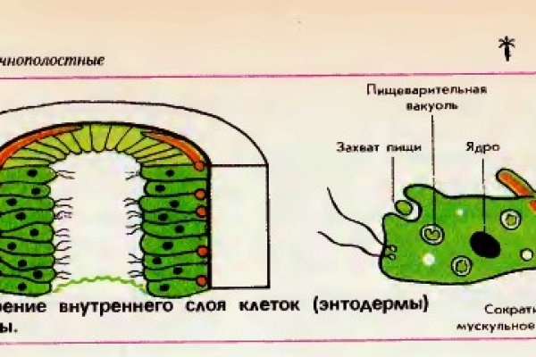 Интернет магазин наркотиков